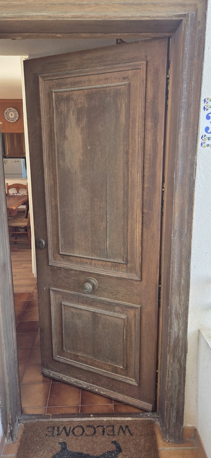 Our very old and crumbling door