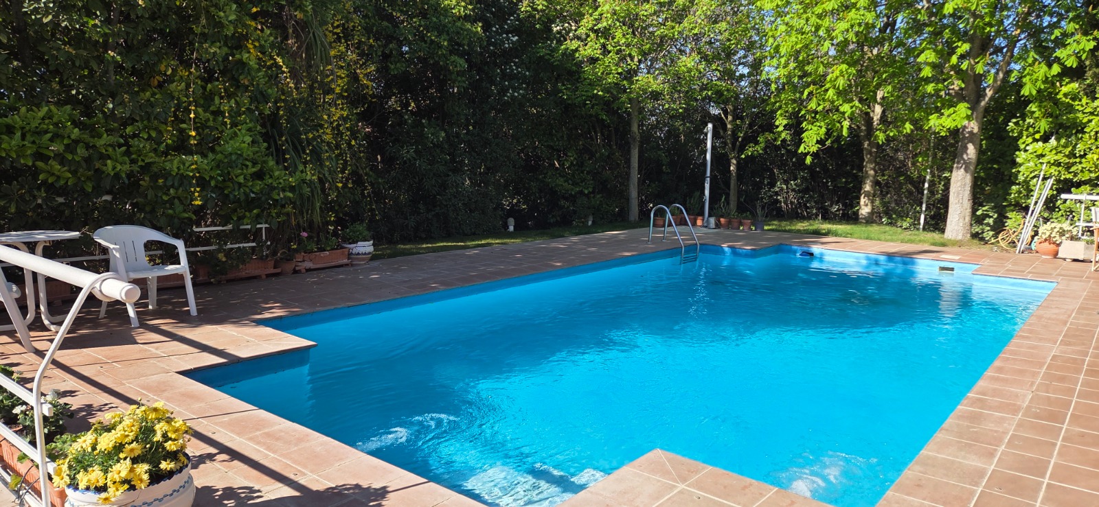 The pool looking good and so lovely to sit by in this good weather